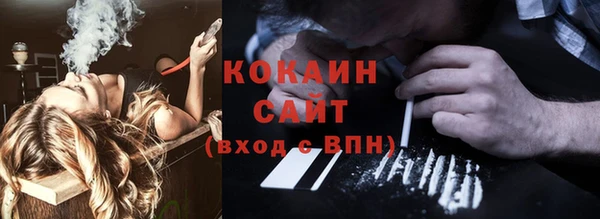 соль ск Алексин
