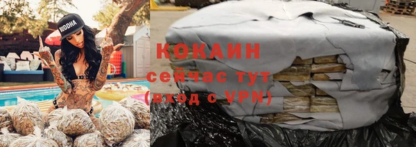 соль ск Алексин