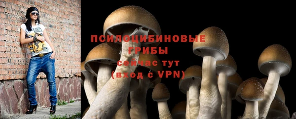 соль ск Алексин