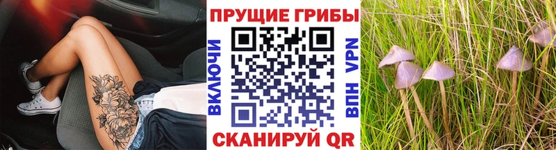 Псилоцибиновые грибы мицелий  Лангепас 