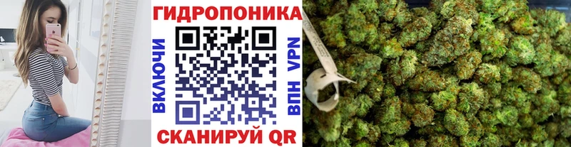 площадка состав  Лангепас  Марихуана SATIVA & INDICA 